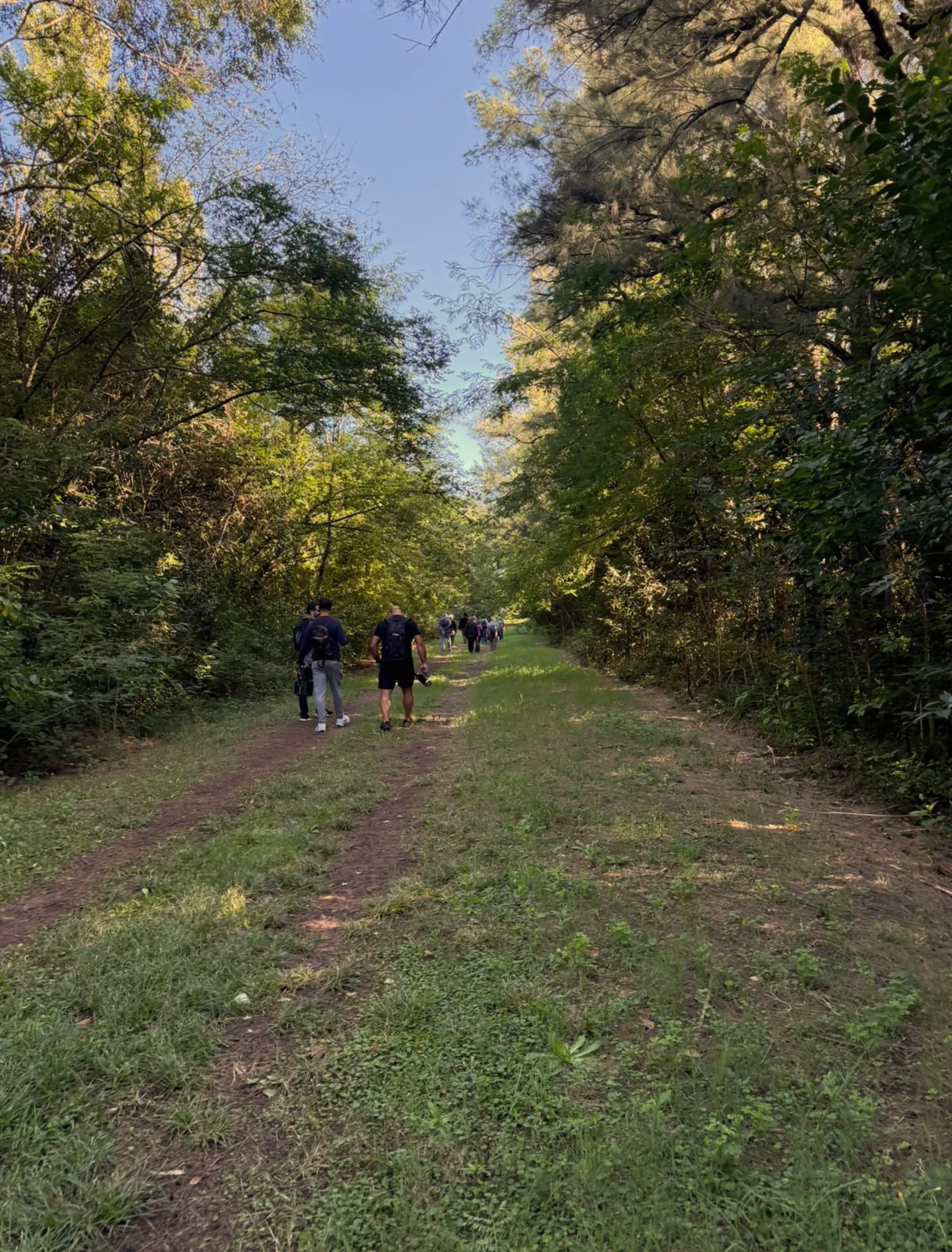3 (17)